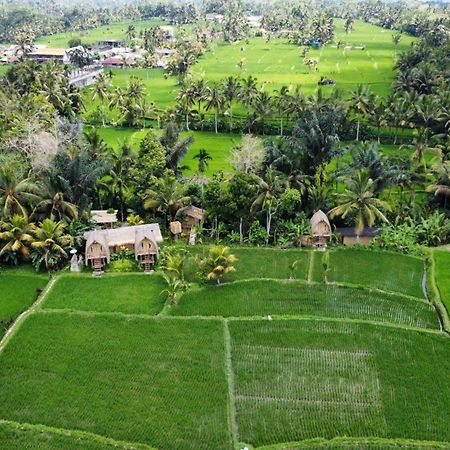 Kawig Bamboo House - Ricefield View, Eco Bamboo Home Tampaksiring Kültér fotó