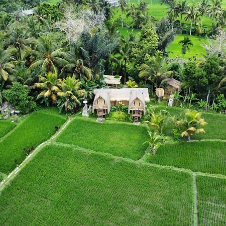 Kawig Bamboo House - Ricefield View, Eco Bamboo Home Tampaksiring Kültér fotó