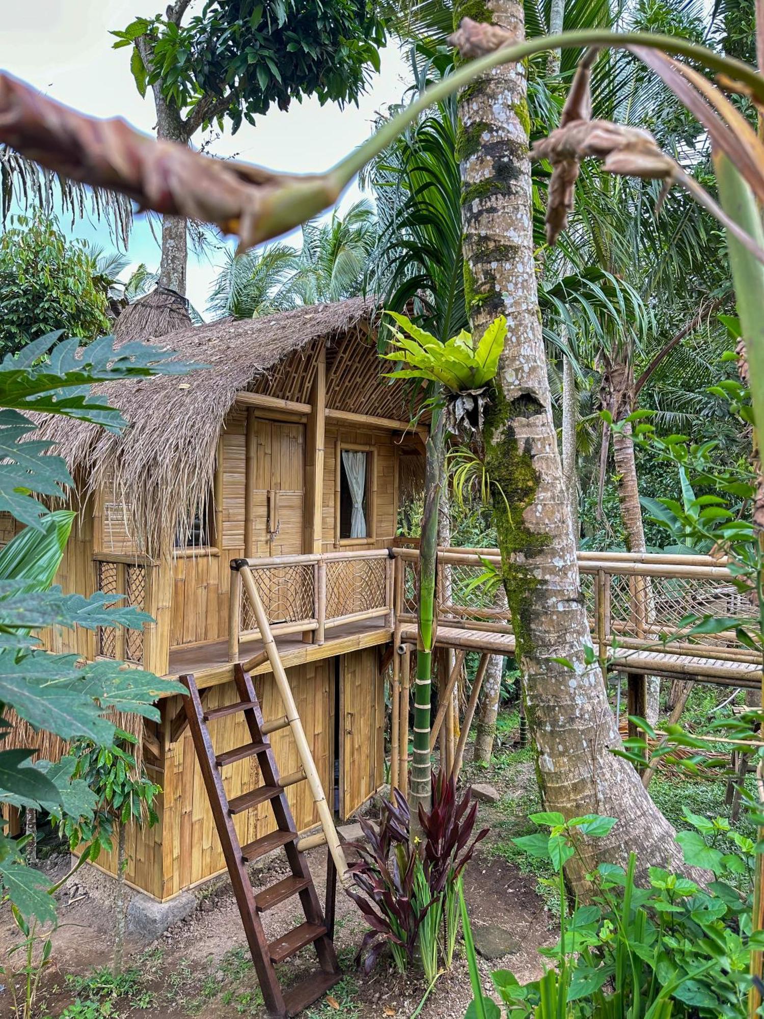 Kawig Bamboo House - Ricefield View, Eco Bamboo Home Tampaksiring Kültér fotó