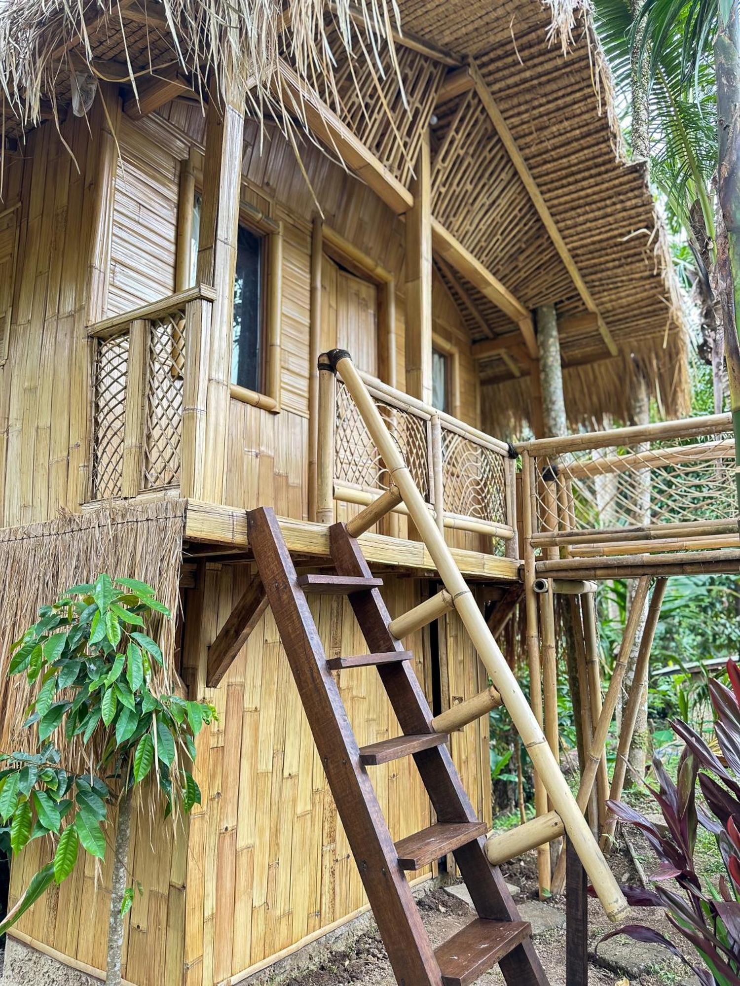 Kawig Bamboo House - Ricefield View, Eco Bamboo Home Tampaksiring Kültér fotó