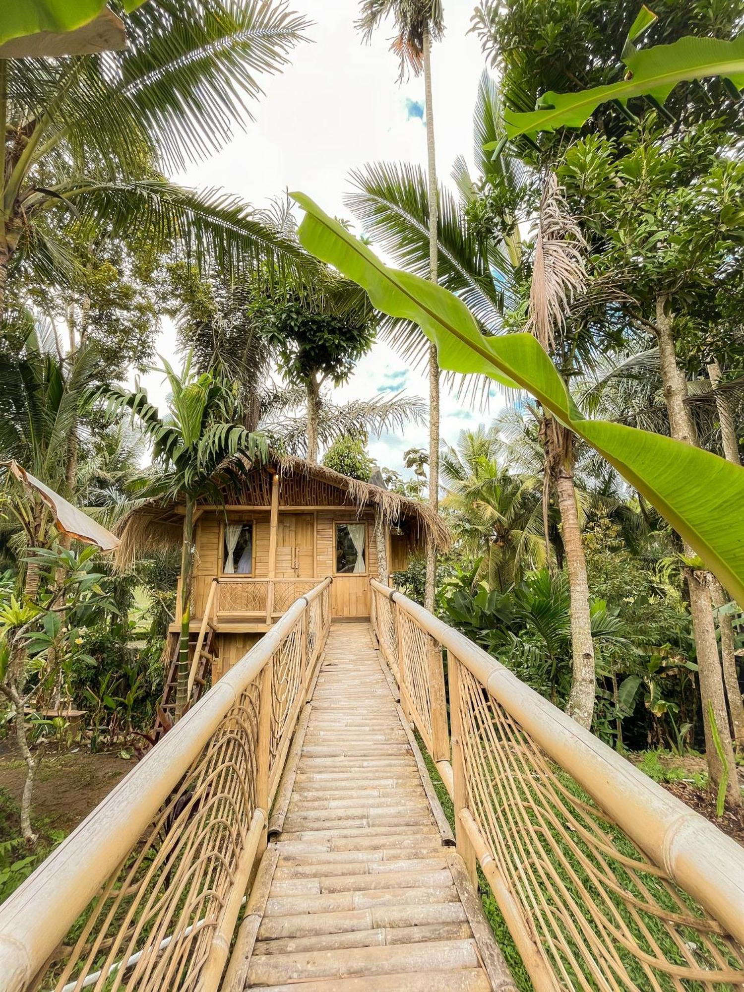 Kawig Bamboo House - Ricefield View, Eco Bamboo Home Tampaksiring Kültér fotó