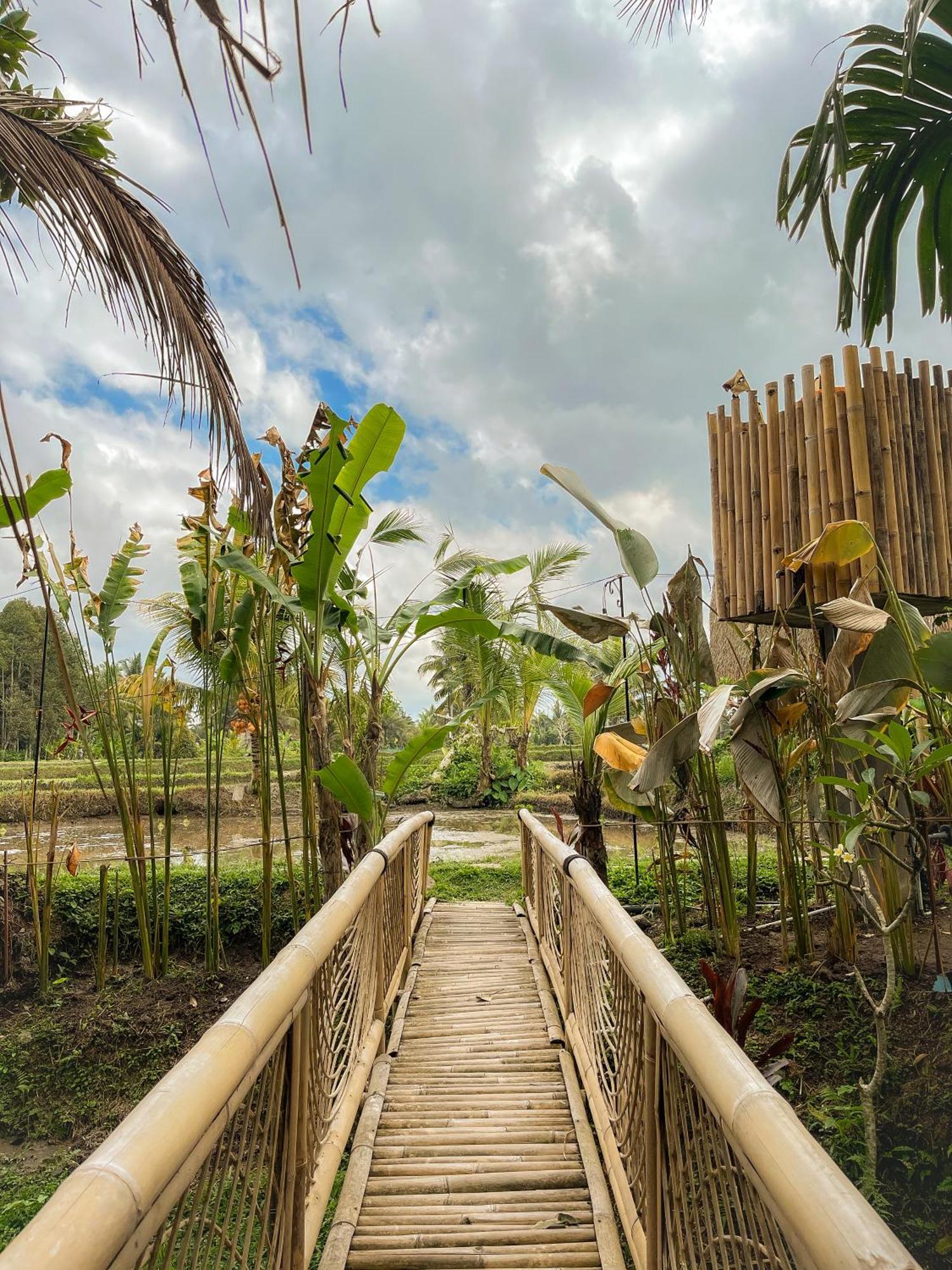 Kawig Bamboo House - Ricefield View, Eco Bamboo Home Tampaksiring Kültér fotó