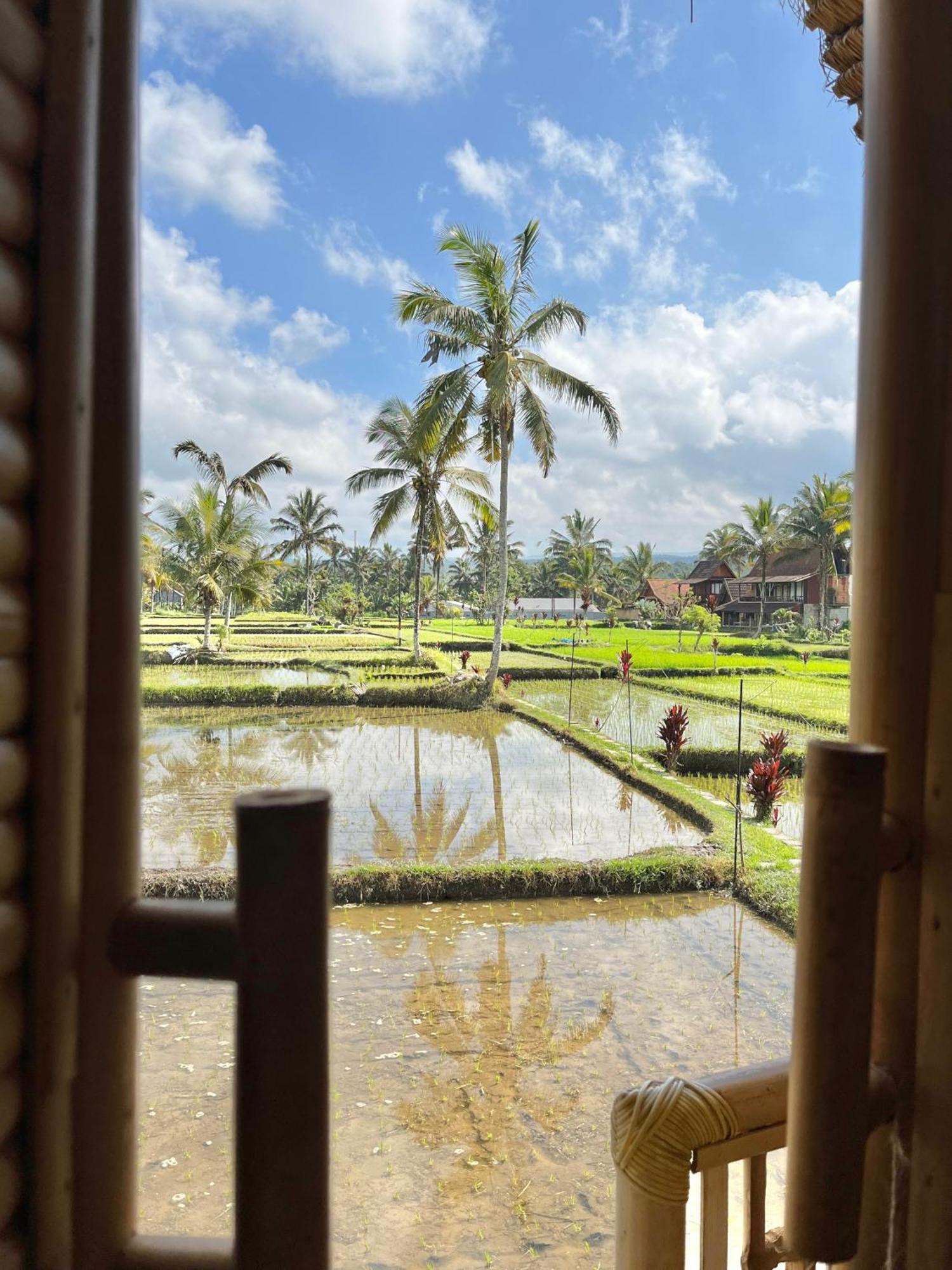 Kawig Bamboo House - Ricefield View, Eco Bamboo Home Tampaksiring Kültér fotó