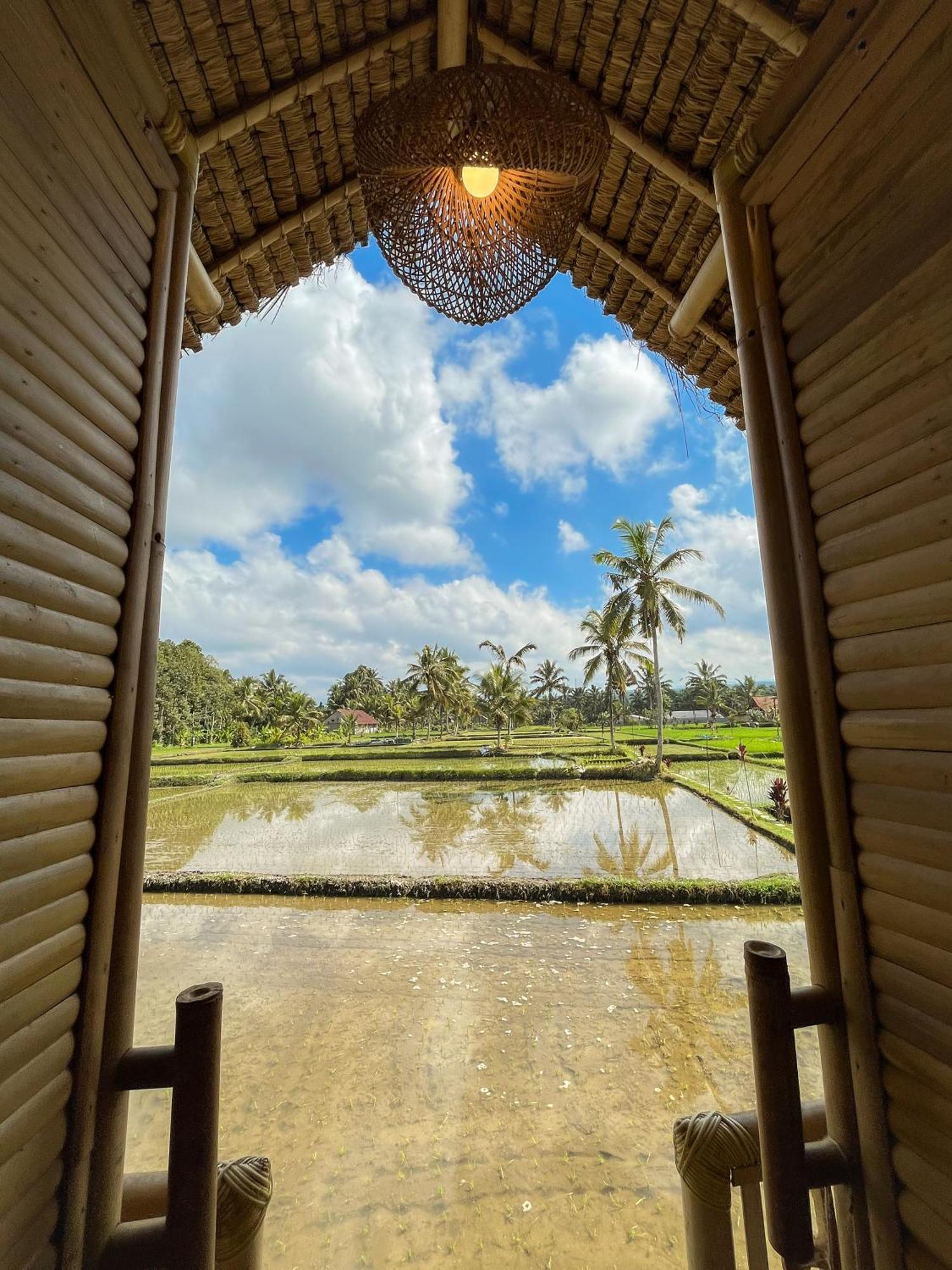 Kawig Bamboo House - Ricefield View, Eco Bamboo Home Tampaksiring Kültér fotó