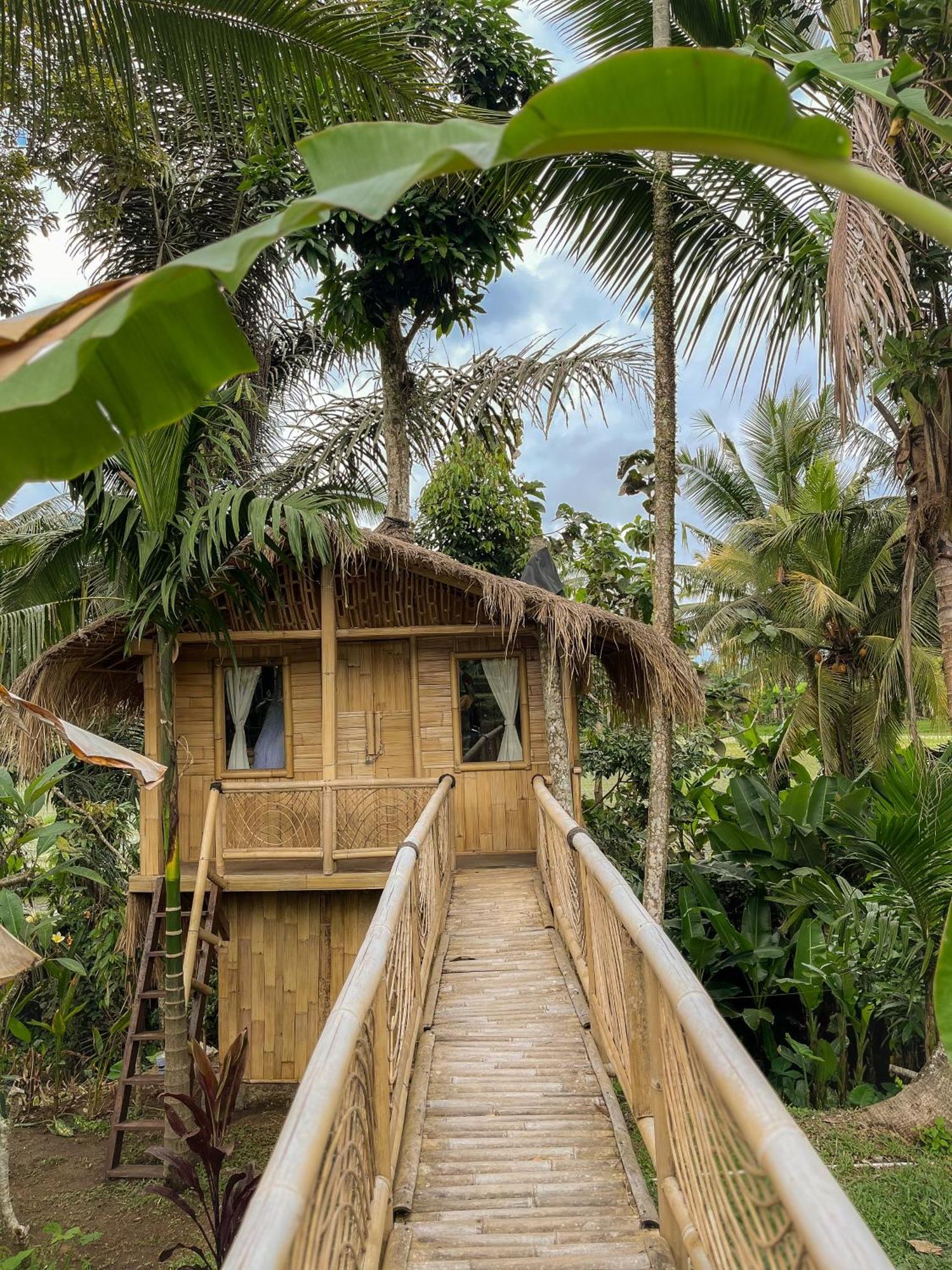 Kawig Bamboo House - Ricefield View, Eco Bamboo Home Tampaksiring Kültér fotó