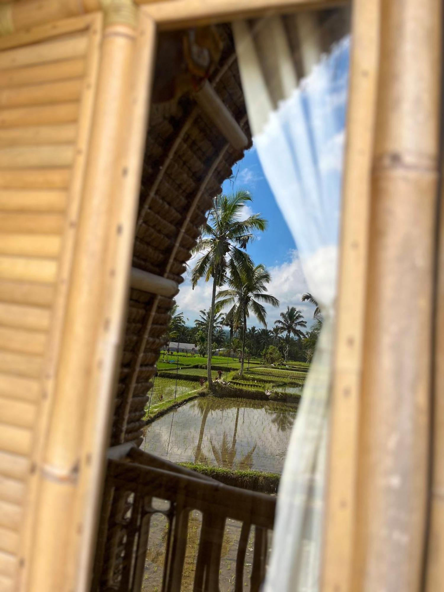 Kawig Bamboo House - Ricefield View, Eco Bamboo Home Tampaksiring Kültér fotó