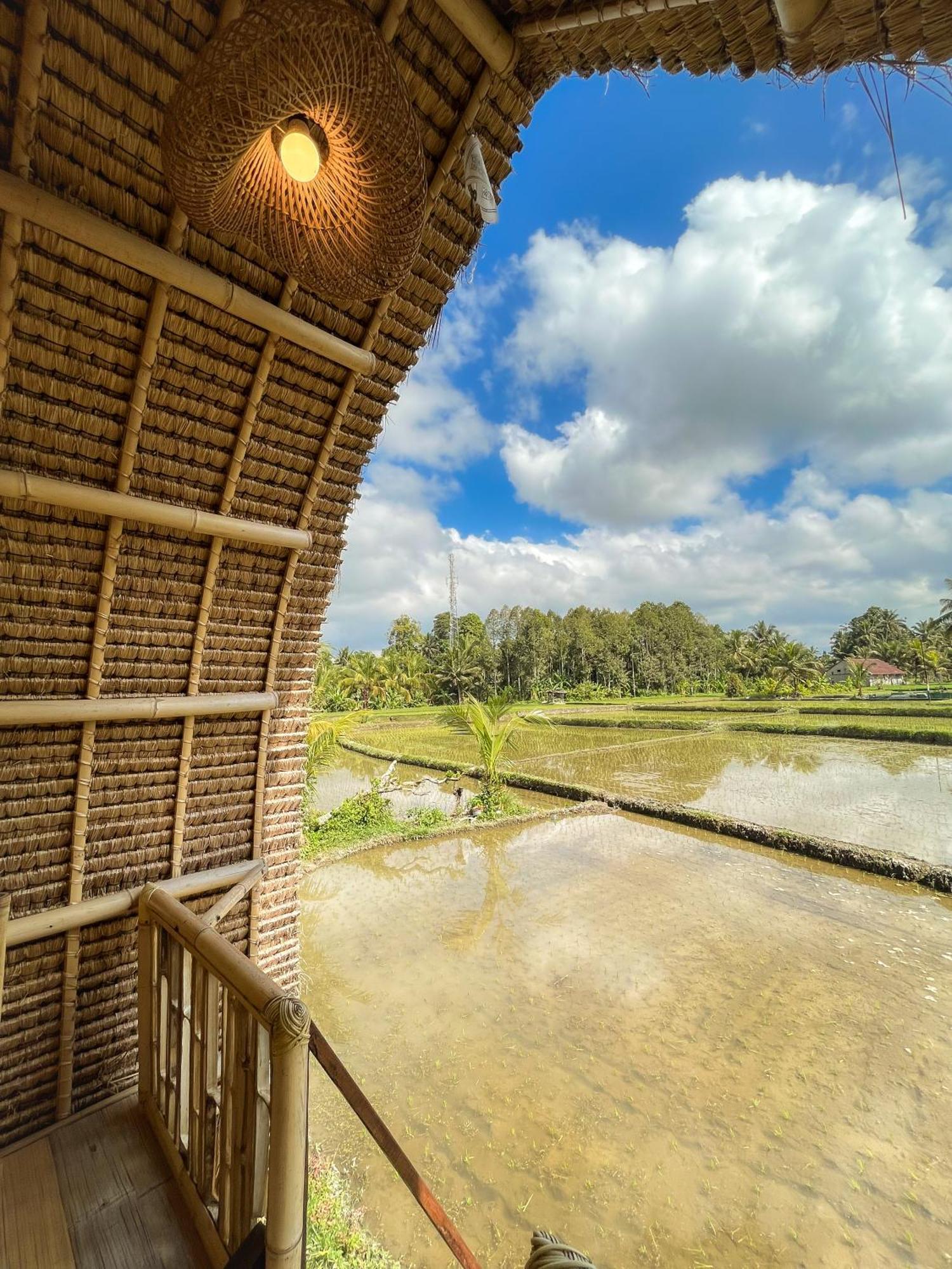 Kawig Bamboo House - Ricefield View, Eco Bamboo Home Tampaksiring Kültér fotó