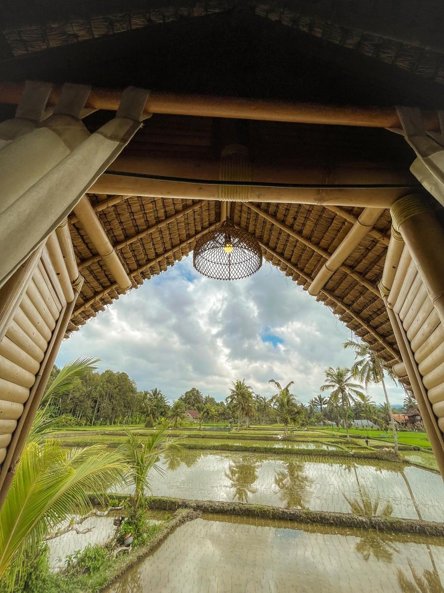 Kawig Bamboo House - Ricefield View, Eco Bamboo Home Tampaksiring Kültér fotó