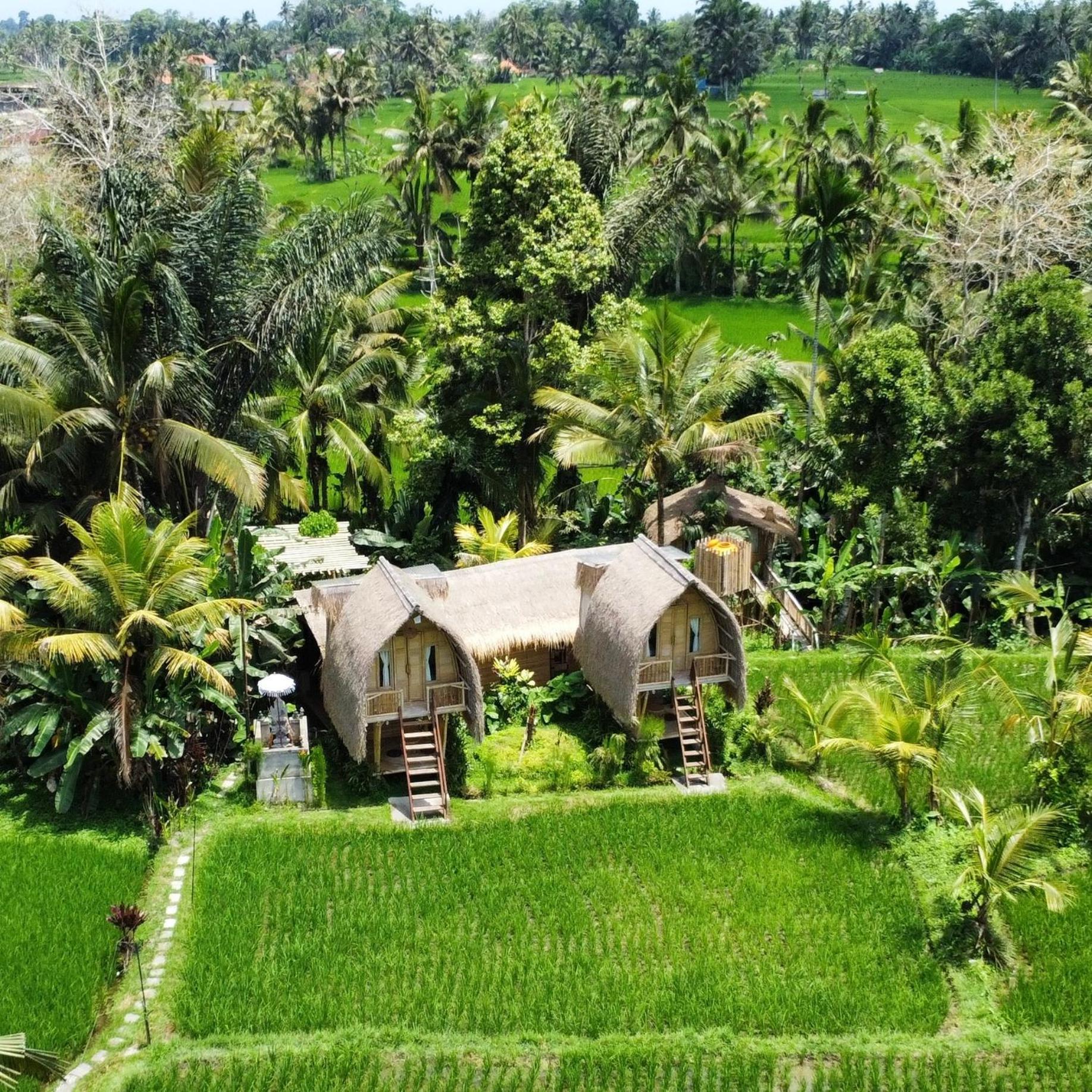 Kawig Bamboo House - Ricefield View, Eco Bamboo Home Tampaksiring Kültér fotó