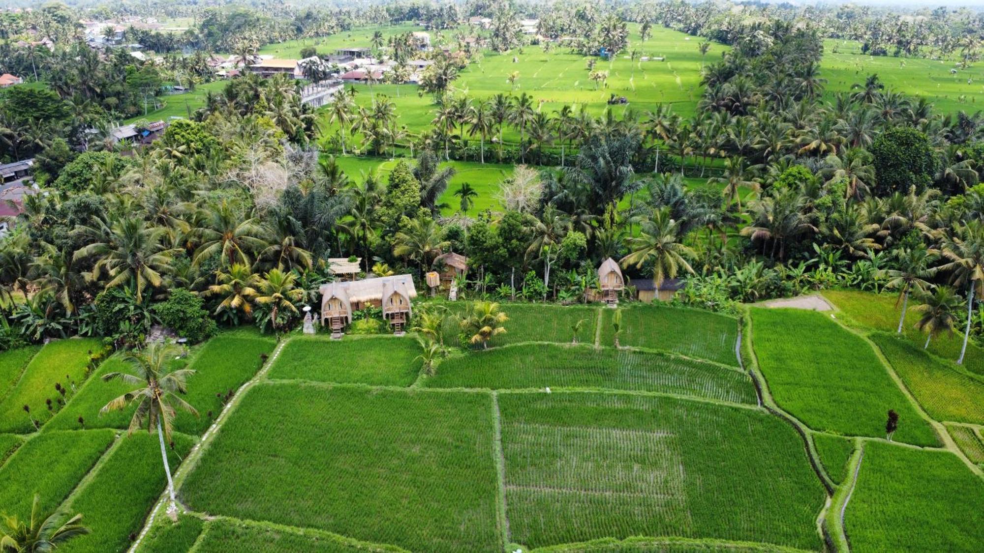 Kawig Bamboo House - Ricefield View, Eco Bamboo Home Tampaksiring Kültér fotó