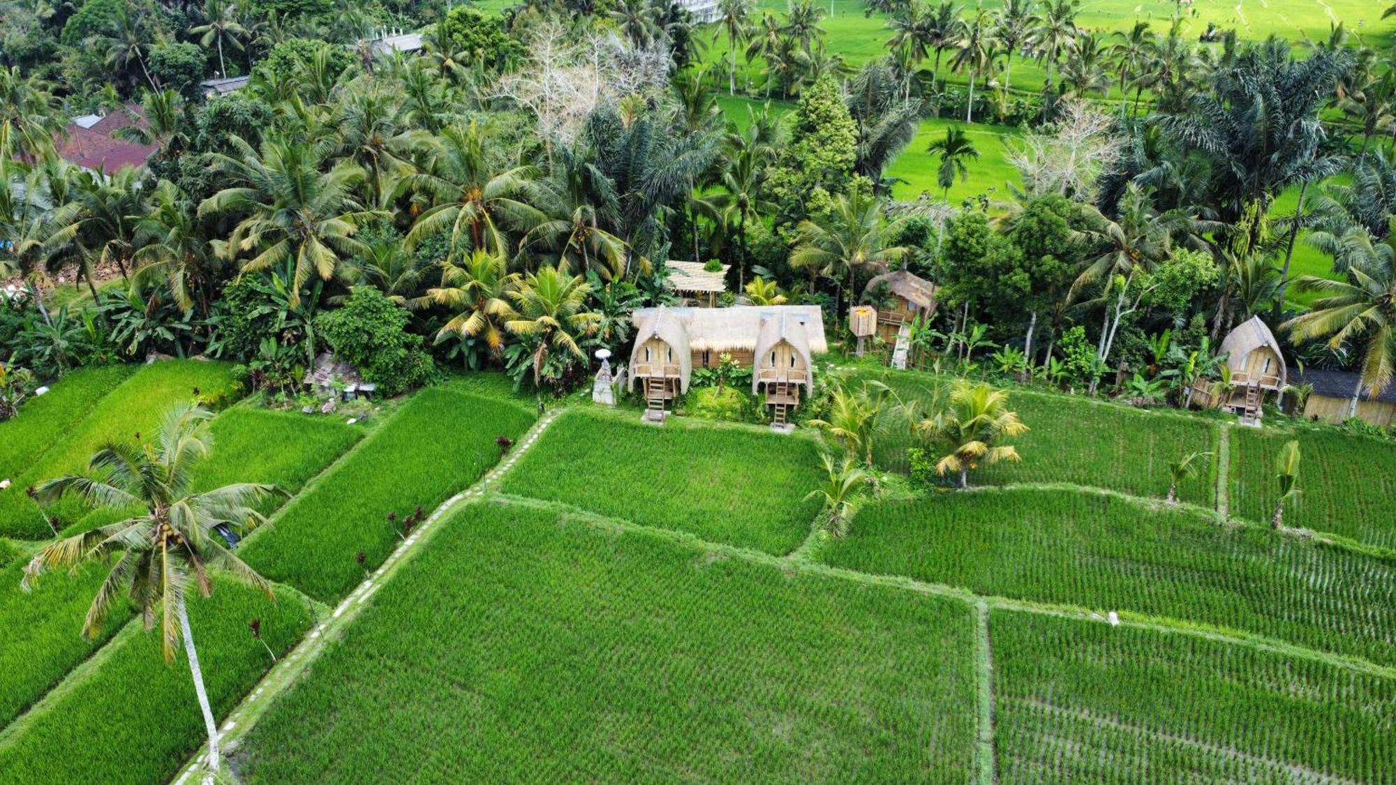 Kawig Bamboo House - Ricefield View, Eco Bamboo Home Tampaksiring Kültér fotó