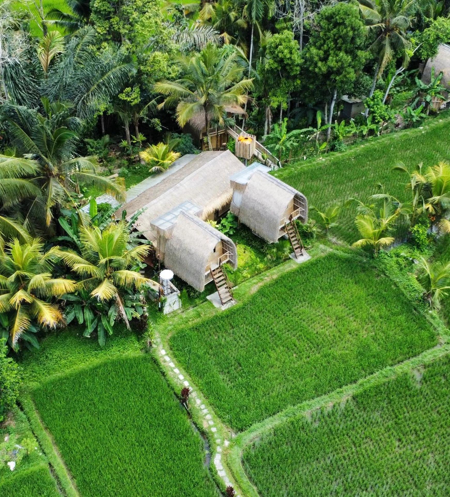 Kawig Bamboo House - Ricefield View, Eco Bamboo Home Tampaksiring Kültér fotó